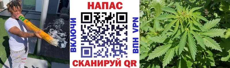 купить наркотик  Биробиджан  Конопля индика 